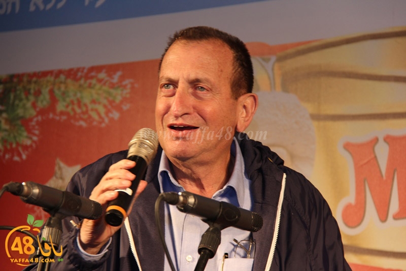 tree xrismass (11).JPG